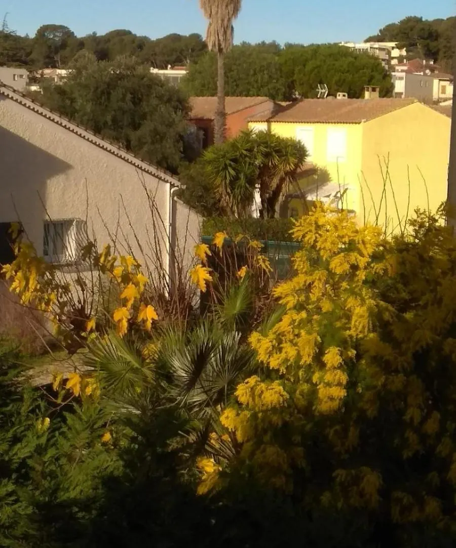 Sanary-Sur-Mer Superbe Appartement Au Calme